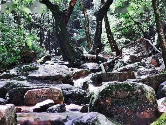 燃烧吧大脑装瓶子游戏